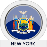 New York state flag icon