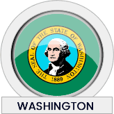 Washington state flag icon