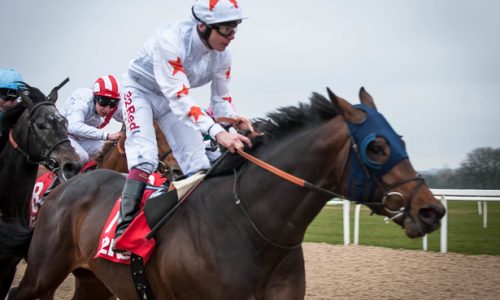 Gronk horse - http://www.sportsbetting.legal