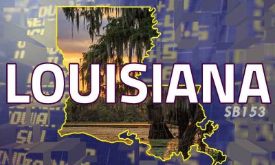 Louisiana state shape