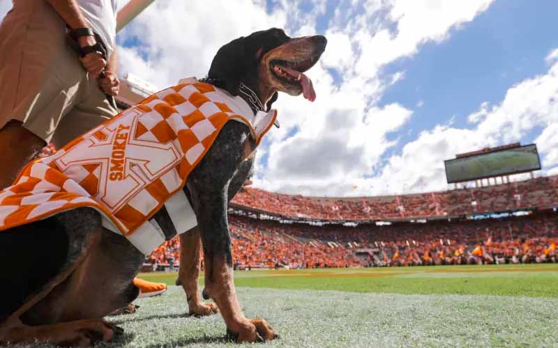 Tennessee mascot smokey