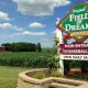 Iowa Field of Dreams