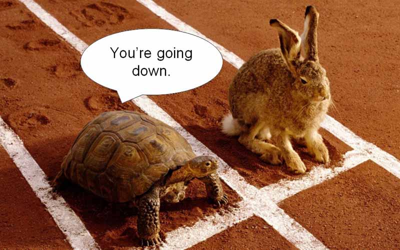 turtle-rabbit-race