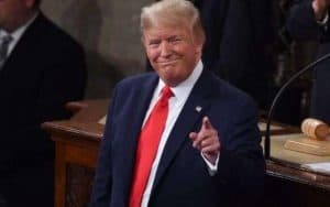 Trump reelection odds