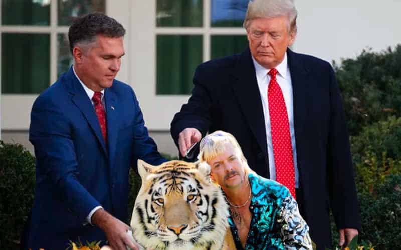 President Trump pardon Tiger King