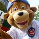 The Chicago Cubs mascot holding an iPhone and some cash