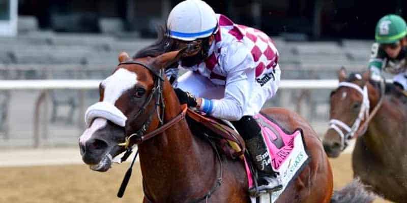Tiz the law Tiz the Law and jockey