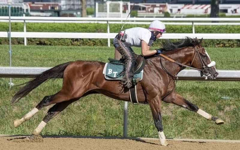 kentucky derby favorite tiz the law practicing in a training session
