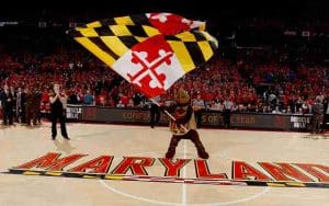 Maryland Terrapins mascot waving a flag on their basketball court