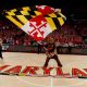 Maryland Terrapins mascot waving a flag on their basketball court