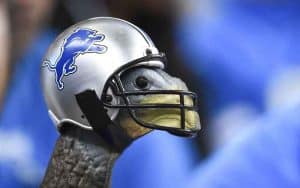 turkey with Detroit Lions helmet on