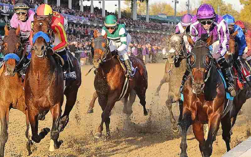 horses racing at the breeders cup classic