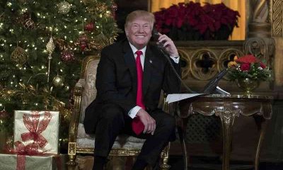 Trump on the phone in front of a Christmas Tree