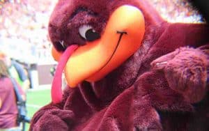 Virginia Tech Hokie