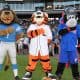 mascots for Detroit Lions Detroit Tigers and Detroit Pistons