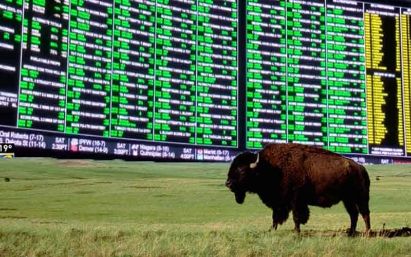 North Dakota sports betting looming over the horizon as a buffalo roams