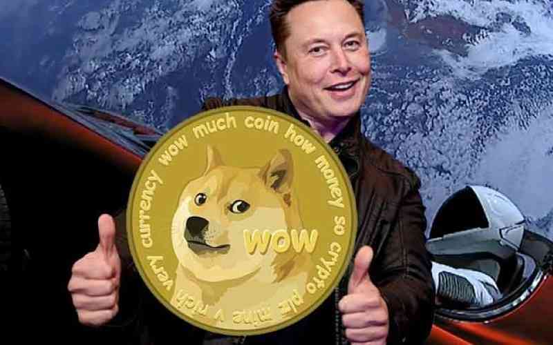 Legal online Dogecoin game when Elon Musk barks up the right three? -  SportsBeezer