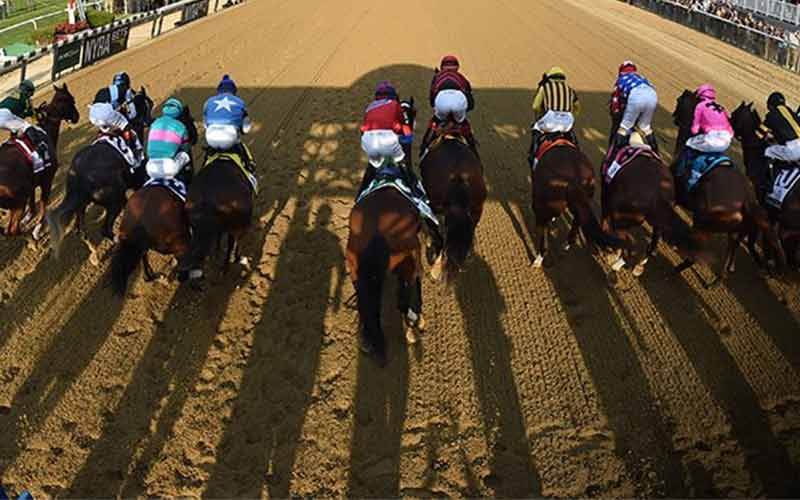 Belmont Stakes Betting Odds for 2021 Triple Crown