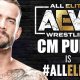 AEW Wrestling odds for CM Punk Darby Allin