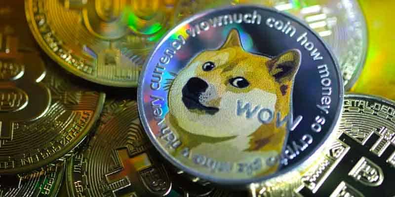 Dogecoin coins