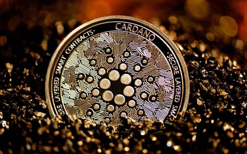 ada cardano betting