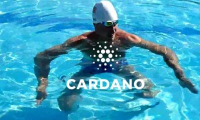 cardano ada treads water