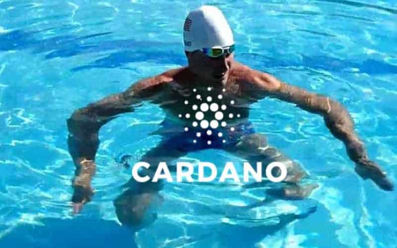 cardano ada treads water