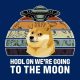 hodl to the moon
