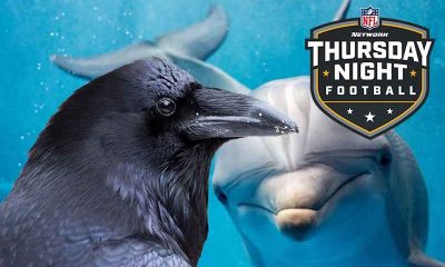 thursday night football betting odds ravens dolphins 2021