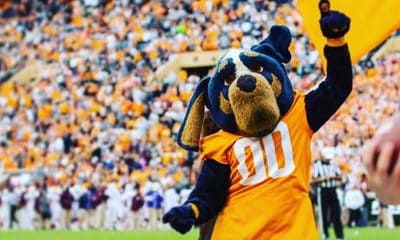 all time high sports betting revenue for TN sports betting Volunteers Mascot