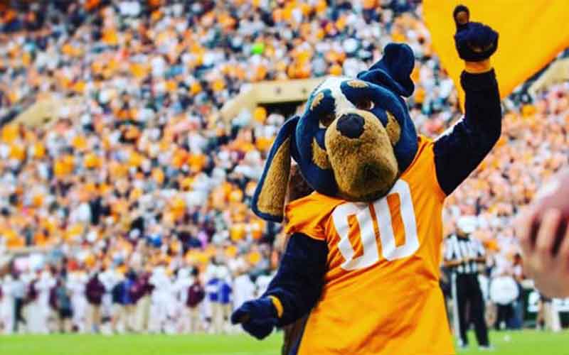 all time high sports betting revenue for TN sports betting Volunteers Mascot