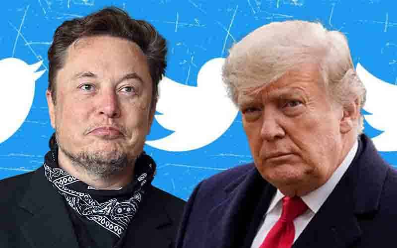 image for legally betting on Donald Trump odds for Twitter account Elon Musk purchase