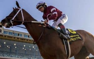 image of Epicenter the favorite to win in the Preakness Stakes odds for 2022