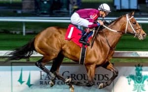 epicenter horse kentucky derby favorite