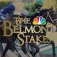 betting on the belmont stakes