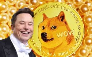 elon musk dogecoin lawsuit
