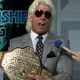image of Ric Flair styling and profiling like only he can