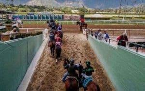 A new California legal betting measure stands to bring millions to the horse racing industry. The subject has created tension with animal rights activists.