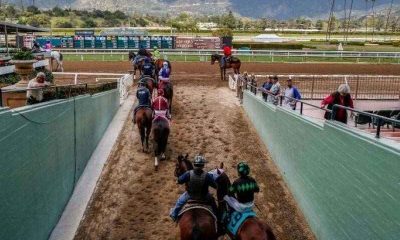 A new California legal betting measure stands to bring millions to the horse racing industry. The subject has created tension with animal rights activists.