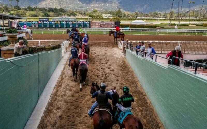 Sebuah ukuran taruhan hukum California baru berdiri untuk membawa jutaan ke industri balap kuda.  Subjek telah menciptakan ketegangan dengan aktivis hak-hak binatang.