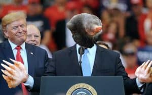 trump raid fbi mole