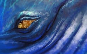 crypto whale
