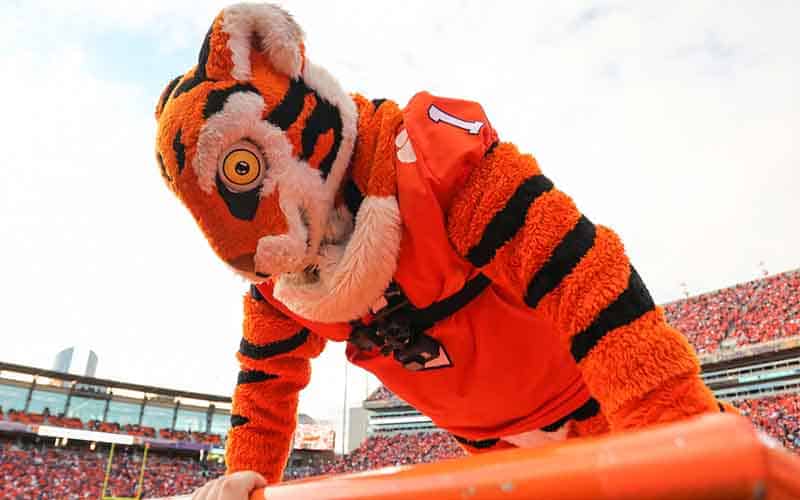Clemson Tigers mascot doing push ups