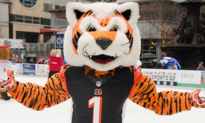Cincinnati Bengals mascot in the snow