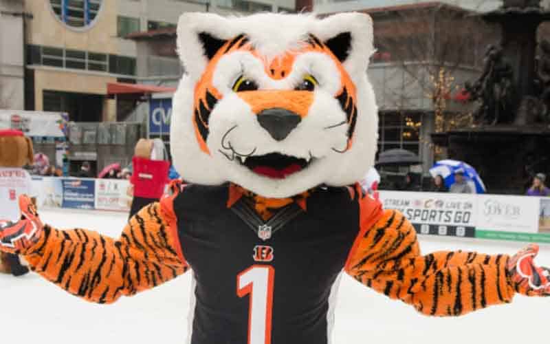 Cincinnati Bengals mascot in the snow