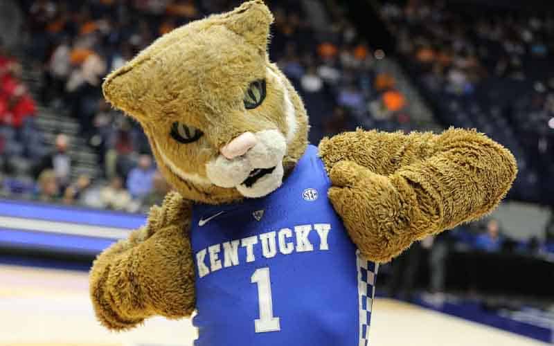 Kentucky Wildcats mascot celebrating the potential of legal sports betting in KY