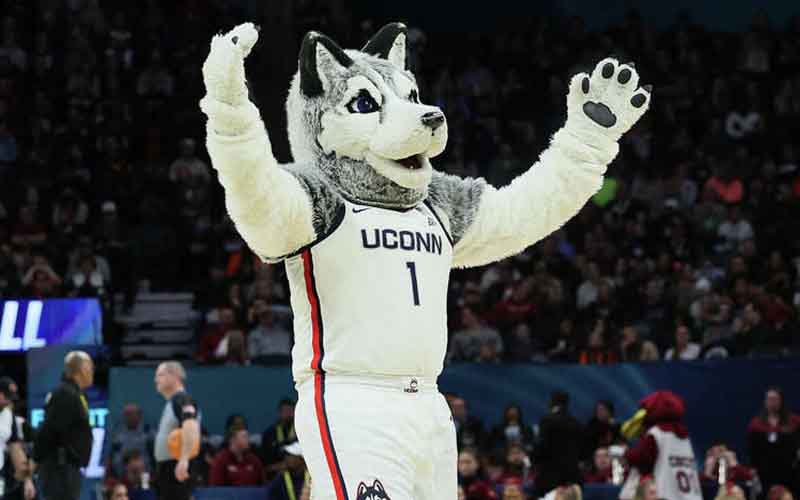Maskot UConn Huskies merayakan