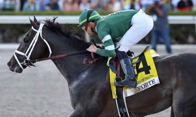 Forte - Challenger for the Kentucky Derby in 2023