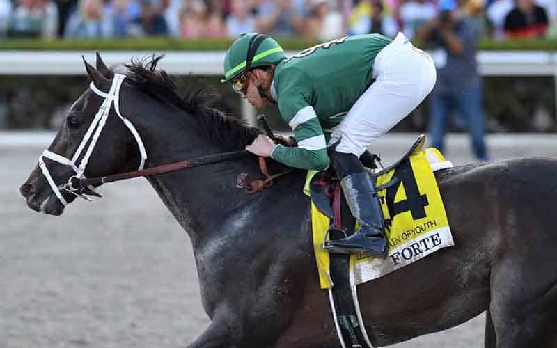 Forte - Challenger for the Kentucky Derby in 2023