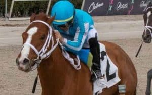 Mage - 2023 Kentucky Derby Winner
